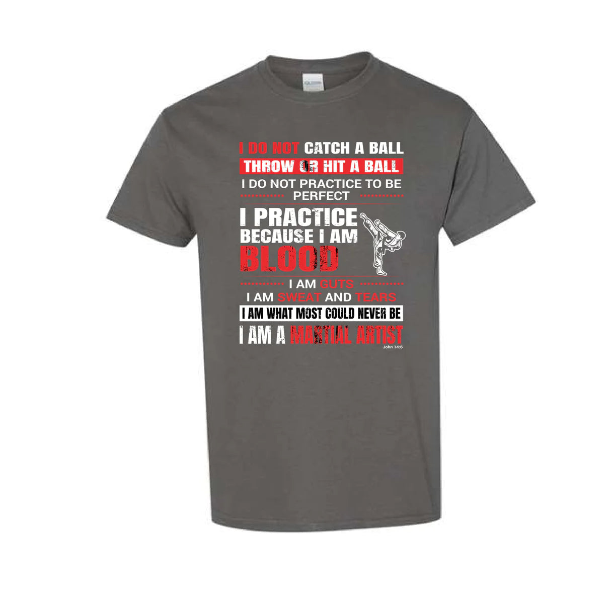 I Am A Martial Artist T-Shirt
