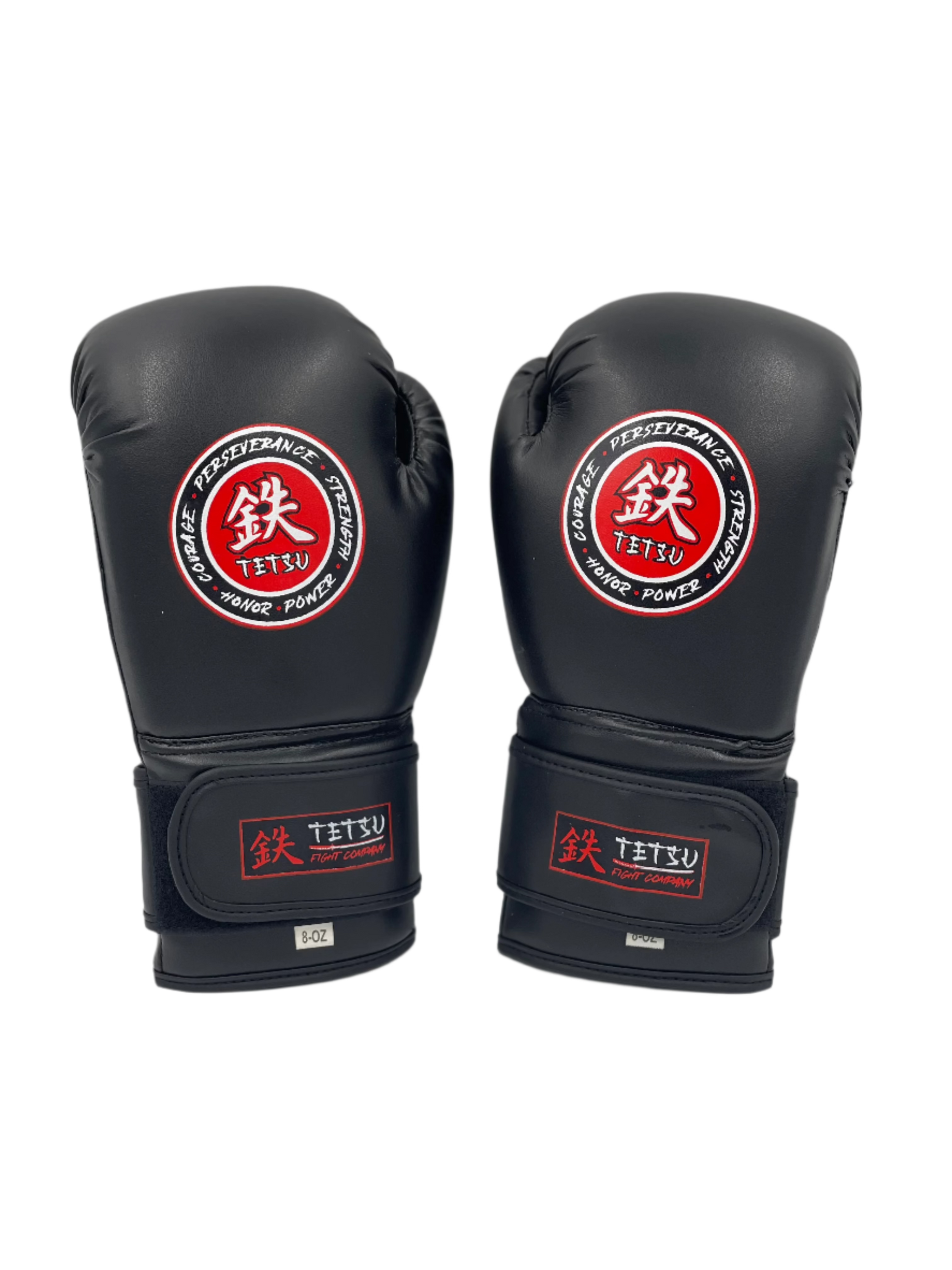 TETSU Boxing Gloves