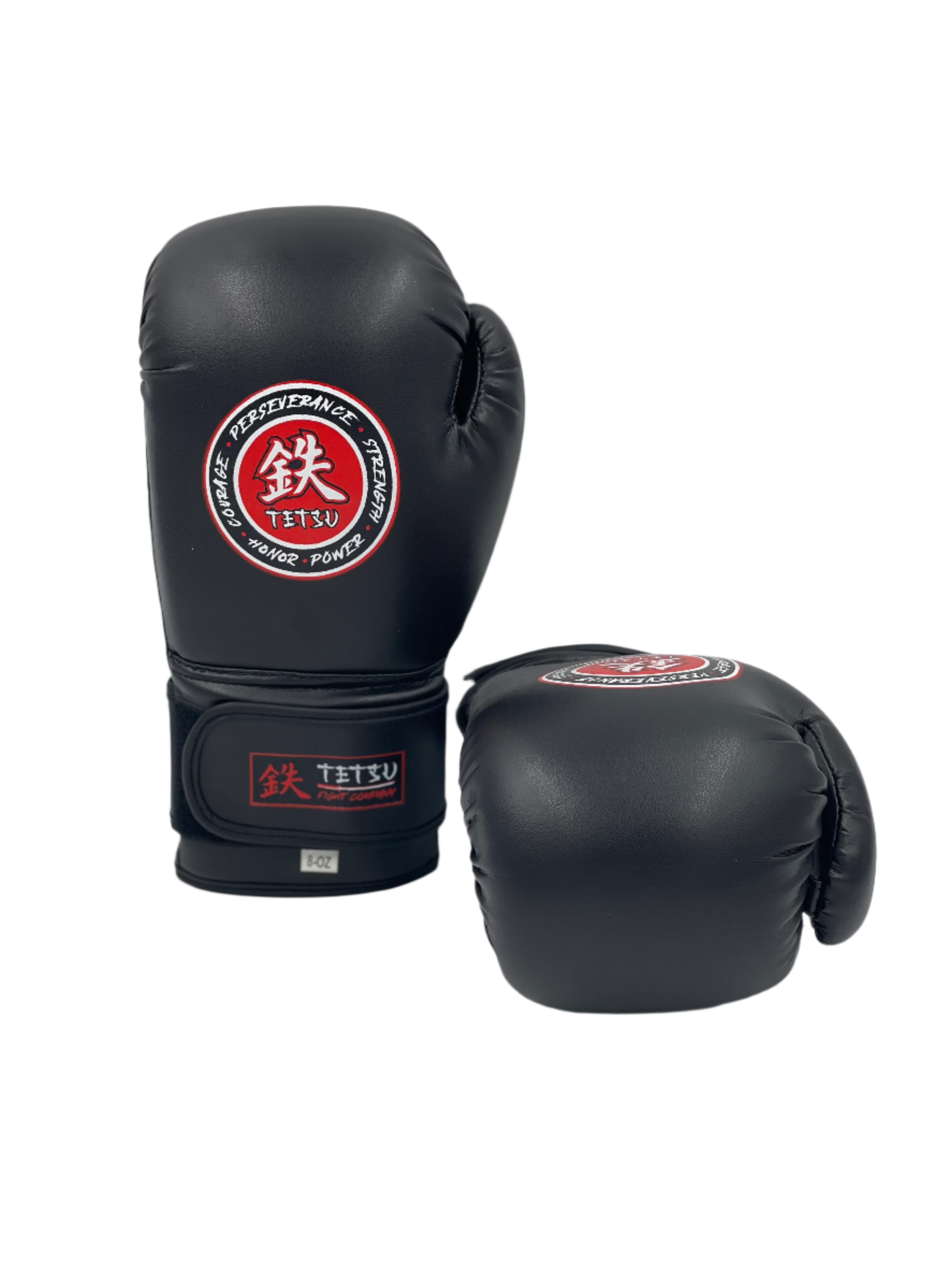 TETSU Boxing Gloves