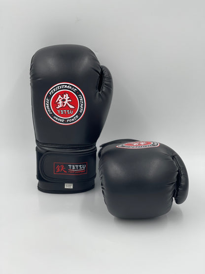 TETSU Boxing Gloves