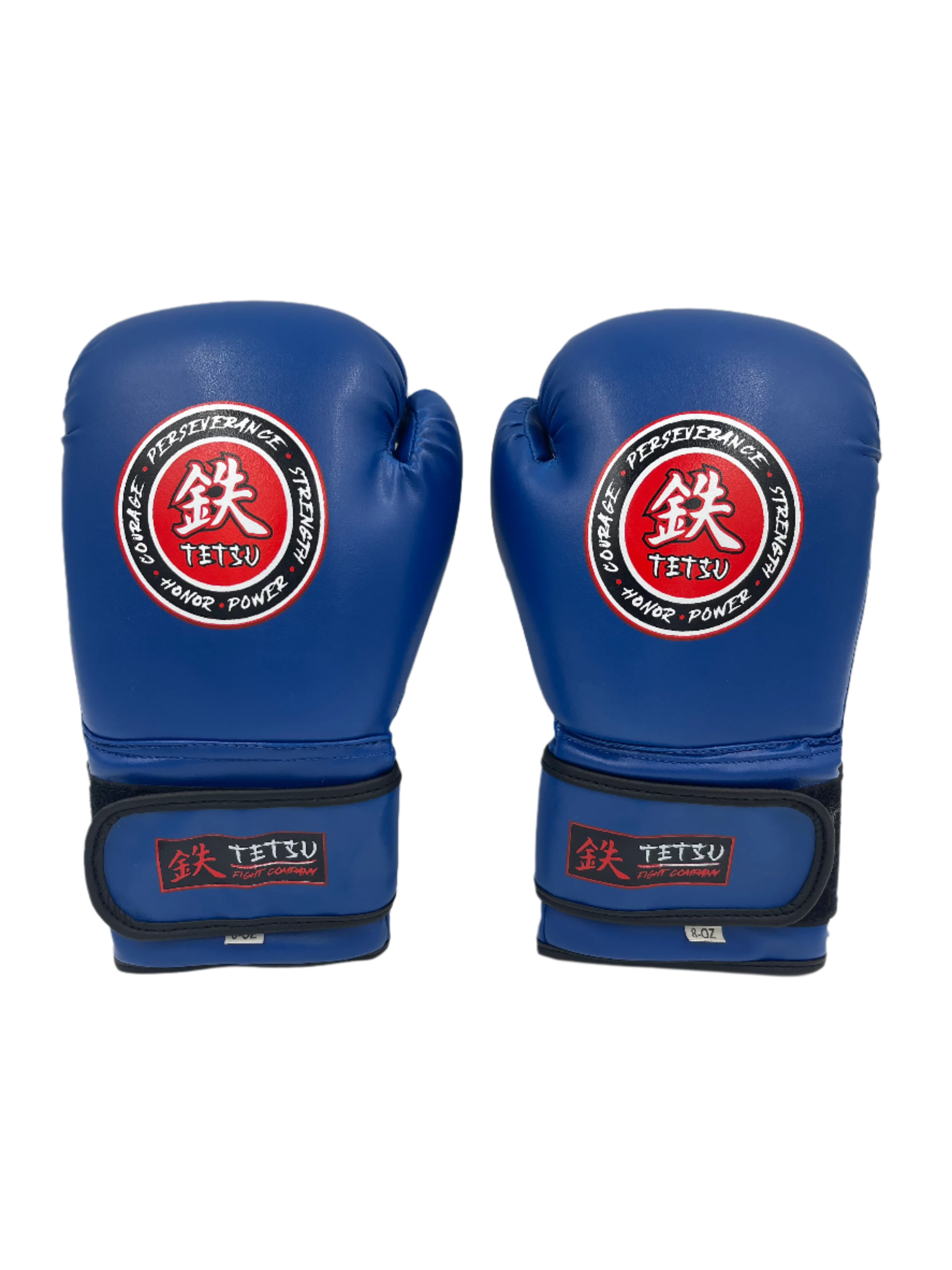 TETSU Boxing Gloves