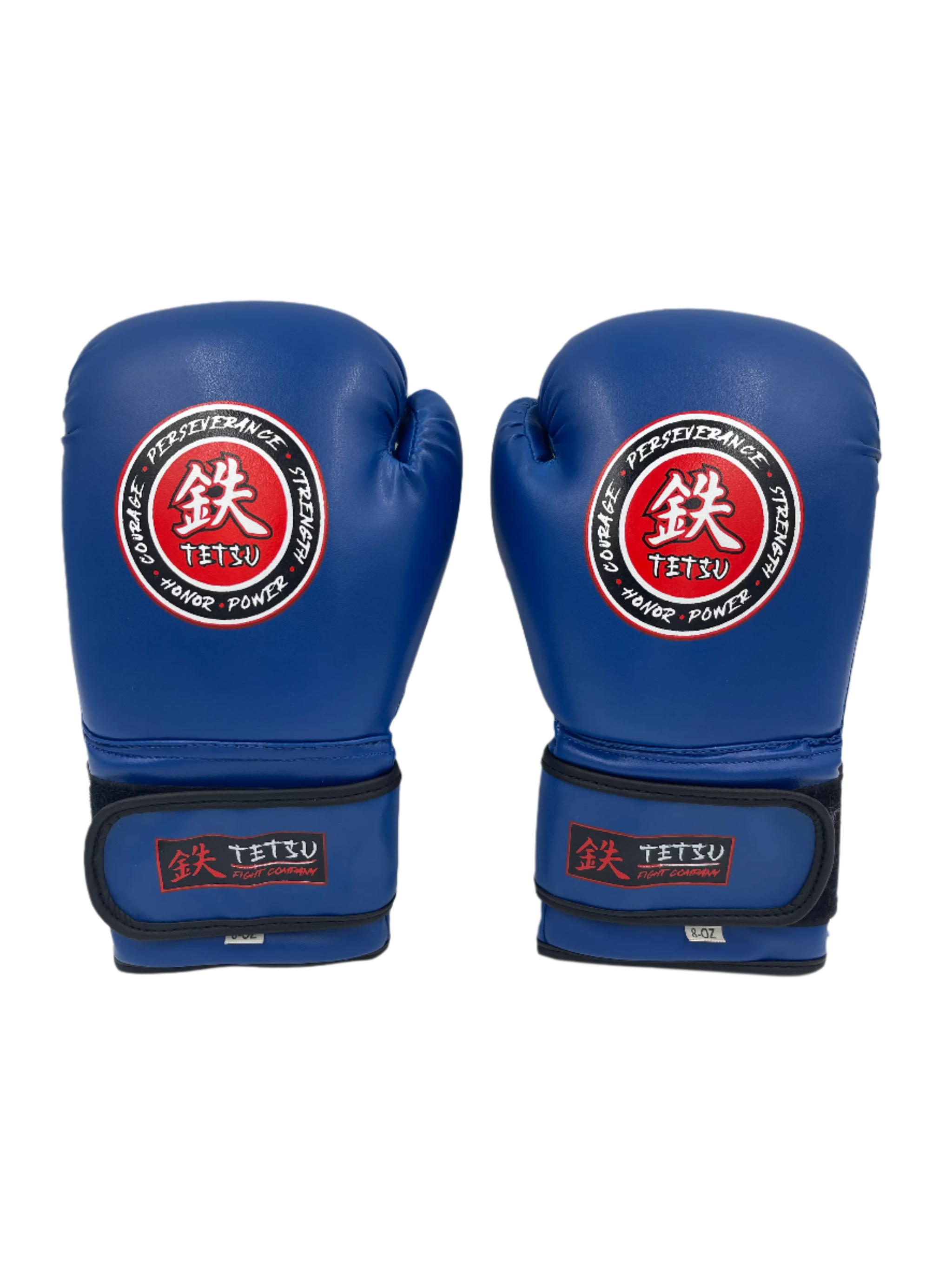 TETSU Boxing Gloves