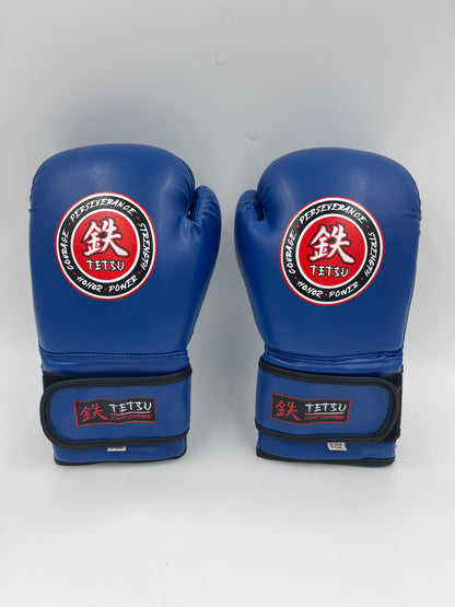 TETSU Boxing Gloves