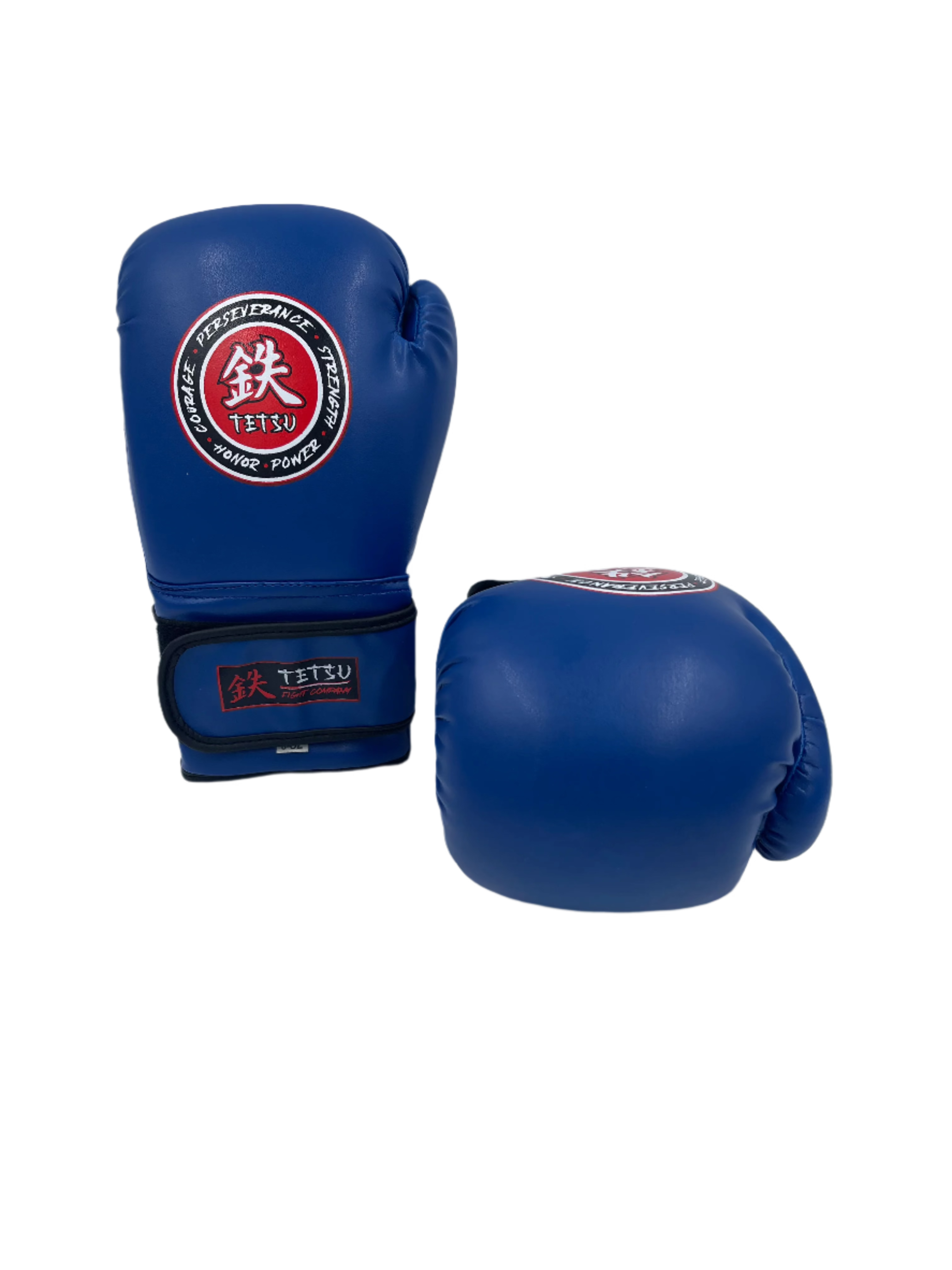 TETSU Boxing Gloves