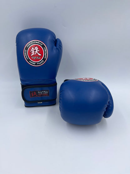 TETSU Boxing Gloves