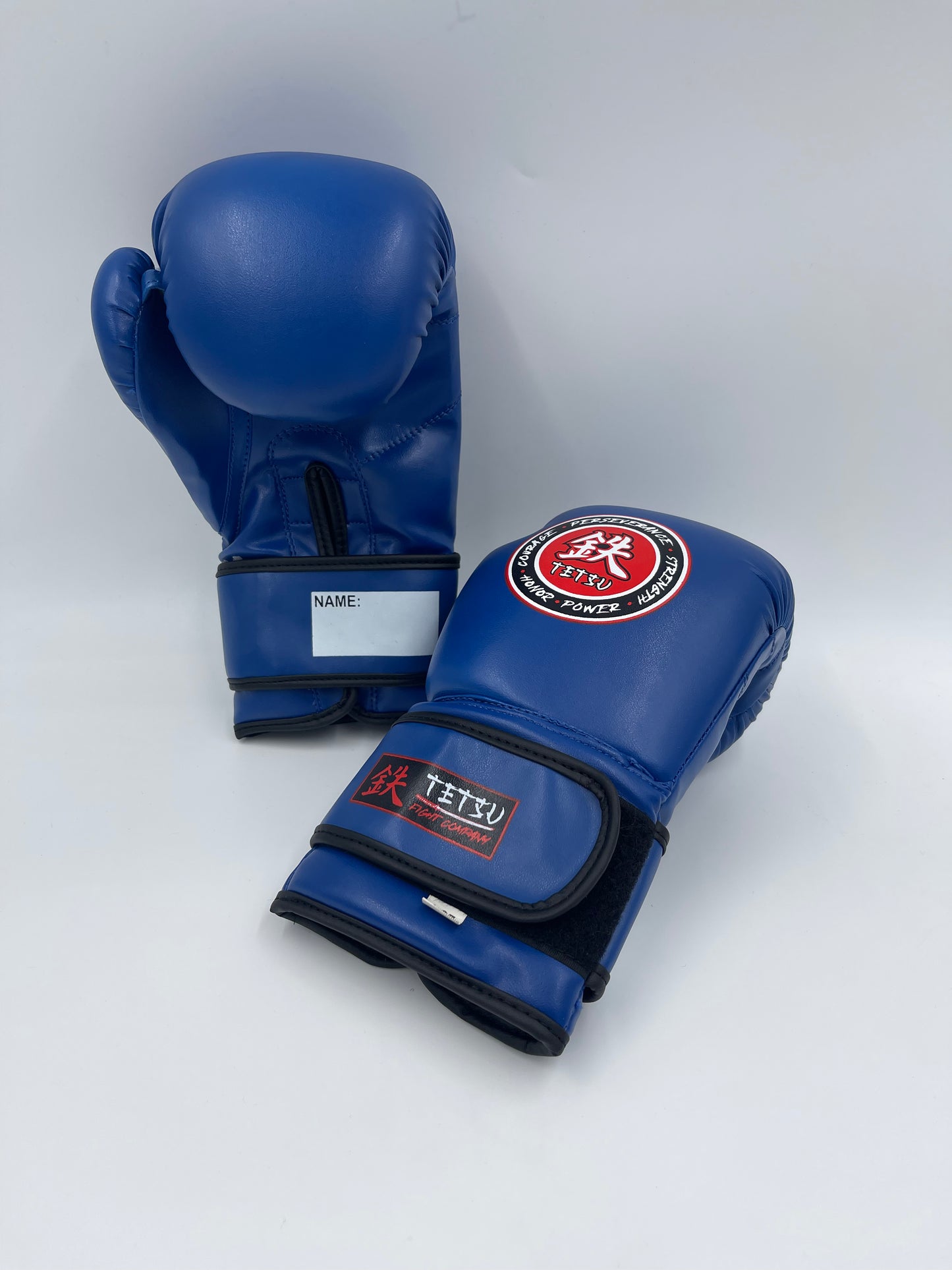 TETSU Boxing Gloves