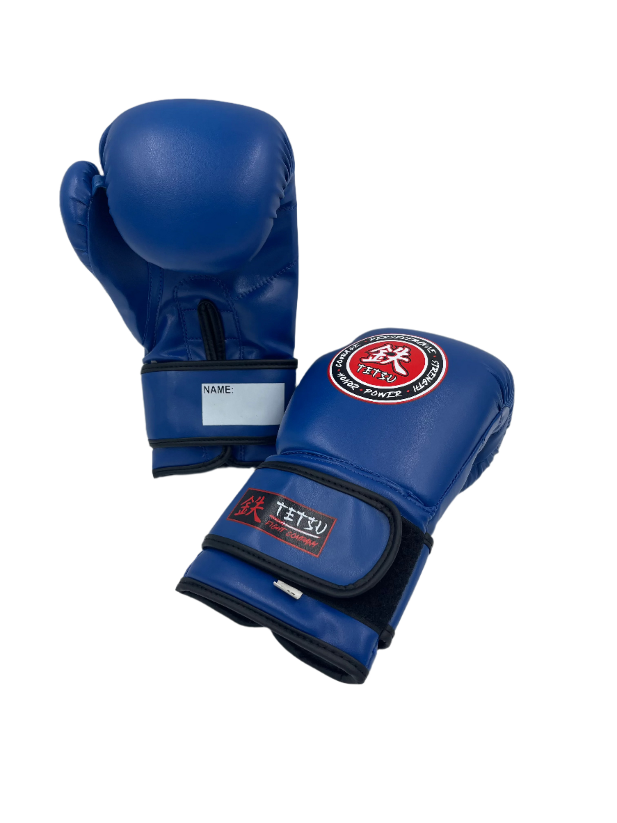 TETSU Boxing Gloves