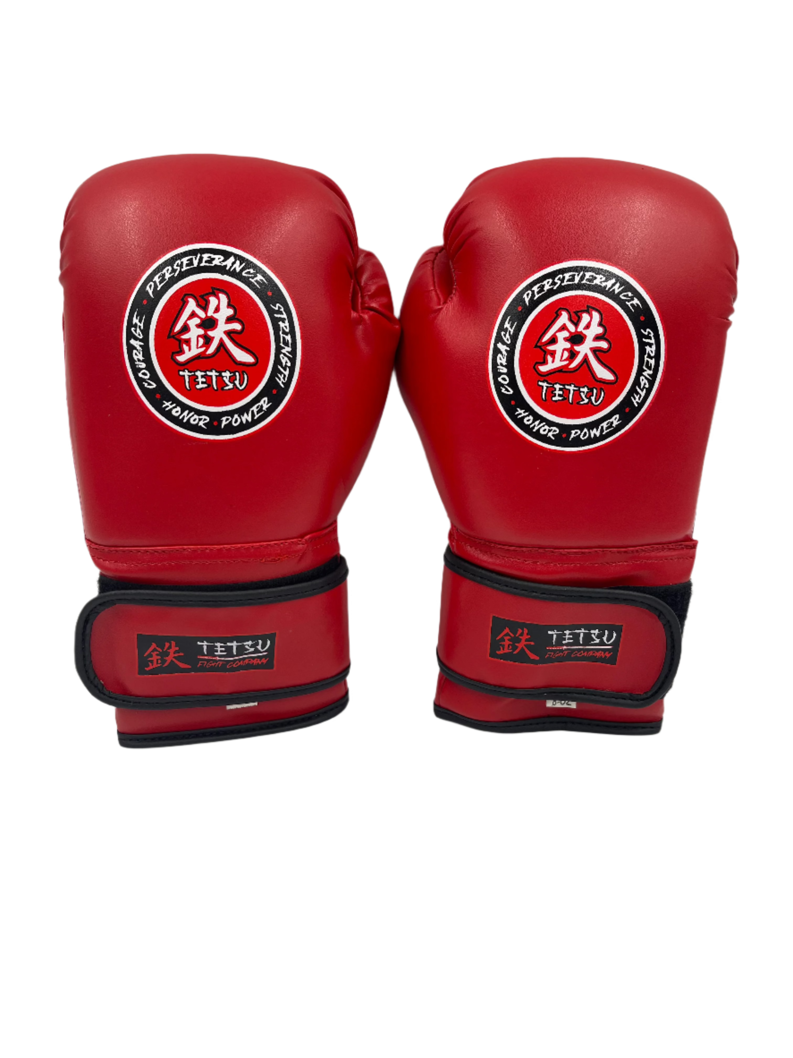 TETSU Boxing Gloves