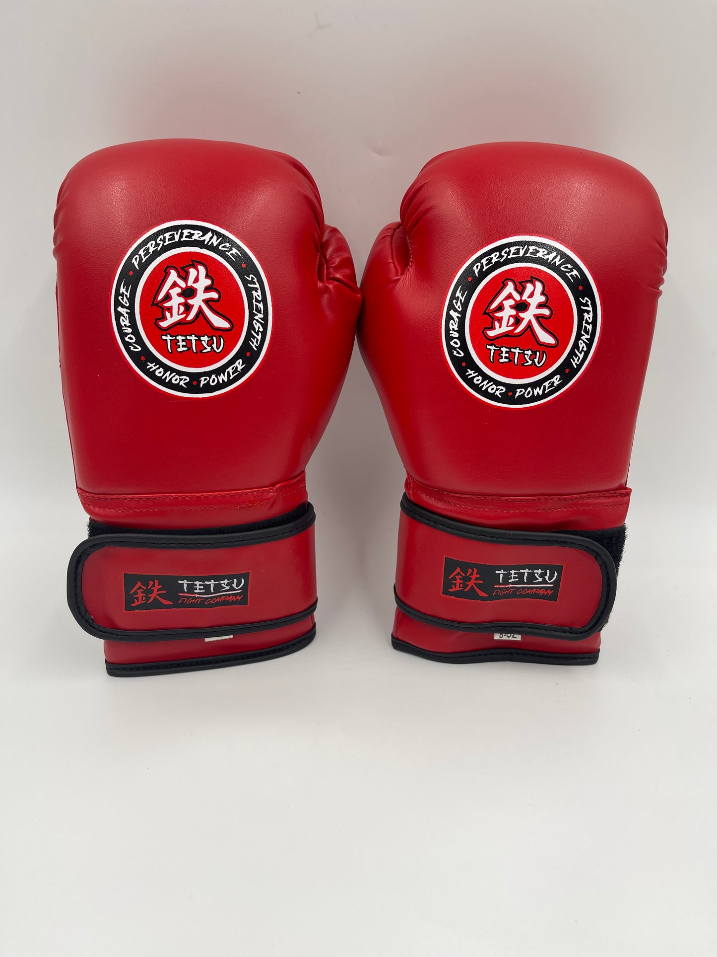 TETSU Boxing Gloves