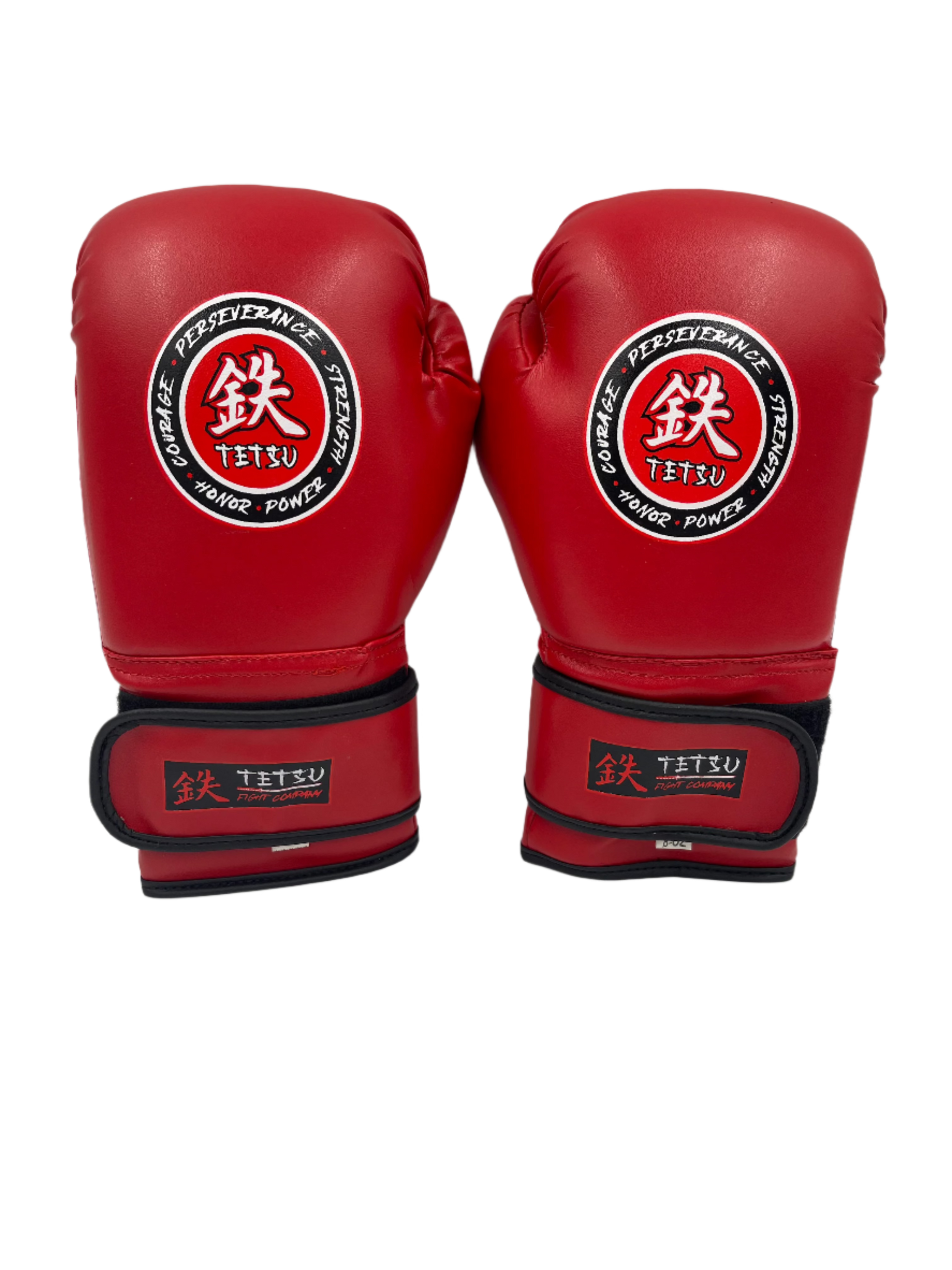 TETSU Boxing Gloves