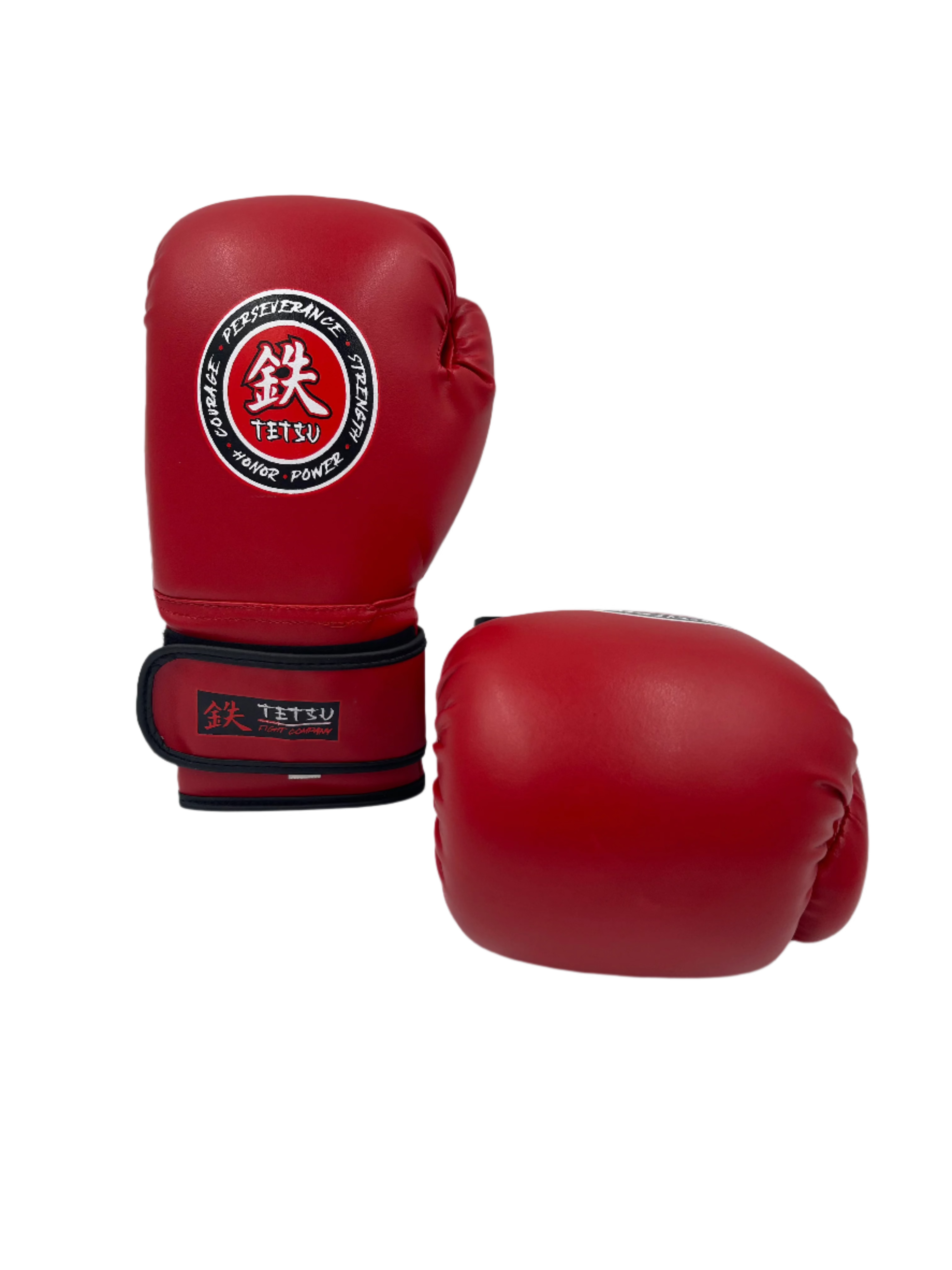 TETSU Boxing Gloves