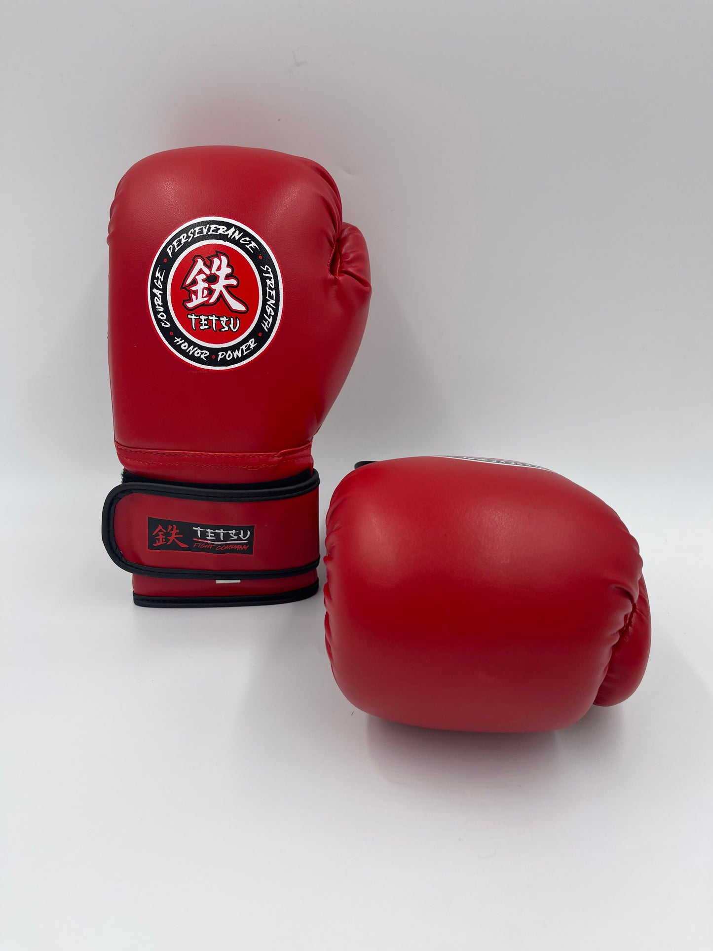 TETSU Boxing Gloves