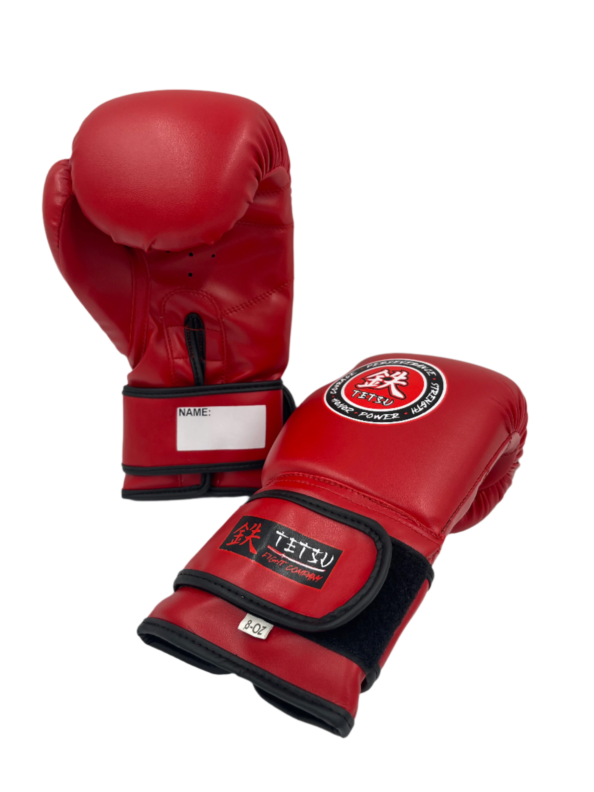TETSU Boxing Gloves Tetsu Fight Company