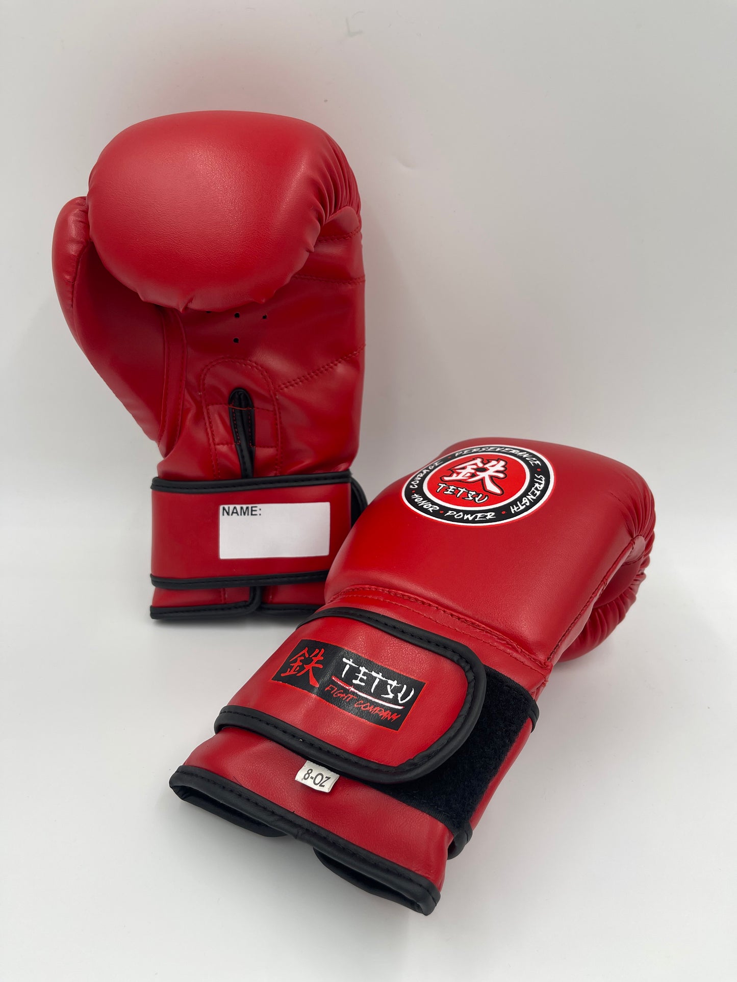 TETSU Boxing Gloves